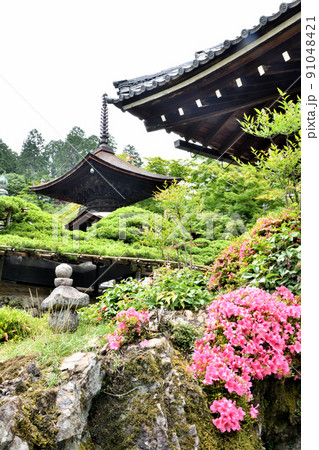 善峯寺山門(護摩堂から多宝塔を望む) 【京都府京都市西京区大原野】 善峯寺山門(護摩堂から多宝塔を望む) 【京都府京都市西京区大原野】 91048421