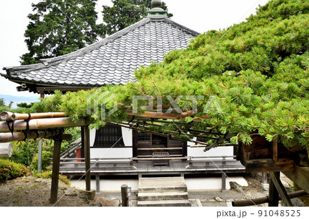 善峯寺(護摩堂・遊龍の松)　【京都府京都市西京区大原野】 91048525