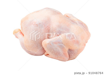 Isolated whole raw chicken on white 91048764