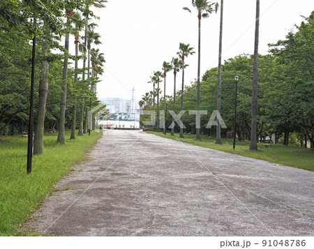 潮風公園 潮風公園 91048786