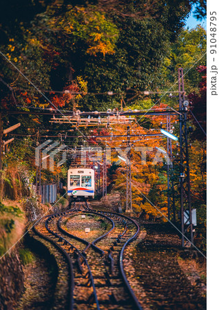 紅葉の中を進む叡山ケーブル -Red leaves in Kyoto- 紅葉の中を進む叡山ケーブル -Red leaves in Kyoto- 91048795
