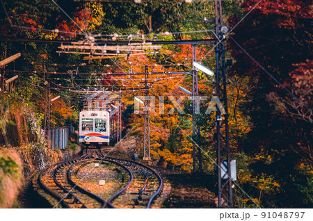 紅葉の中を進む叡山ケーブル -Red leaves in Kyoto- 紅葉の中を進む叡山ケーブル -Red leaves in Kyoto- 91048797