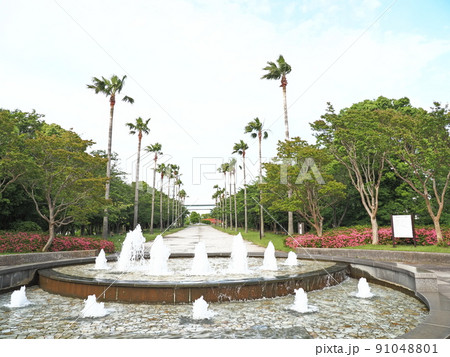 潮風公園 潮風公園 91048801
