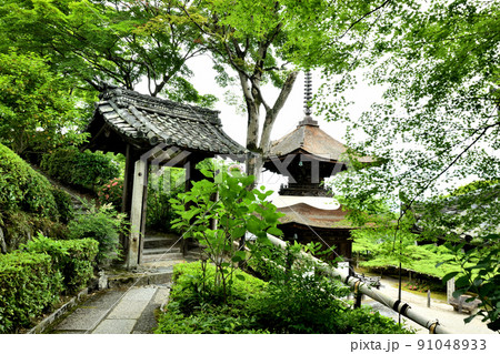善峯寺(多宝塔) 【京都府京都市西京区大原野】 善峯寺(多宝塔) 【京都府京都市西京区大原野】 91048933
