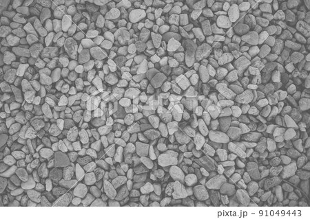 small pebble rock stones nature pattern texture for background black and white 91049443