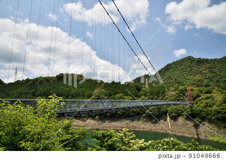 椿山レイクブリッジ　【和歌山県日高川町】 91049666