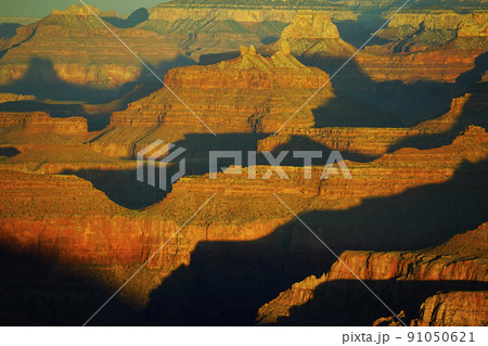 グランドキャニオン 91050621