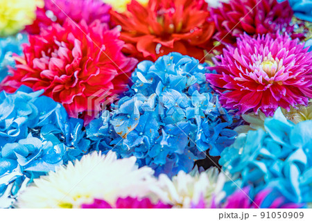 奈良　岡寺の花手水 91050909