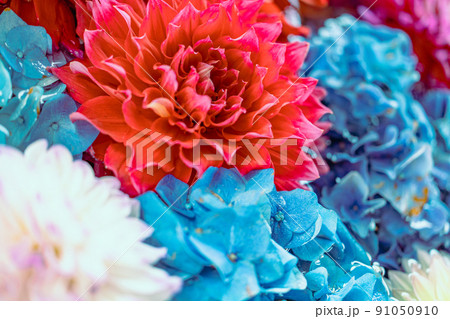 奈良　岡寺の花手水 91050910