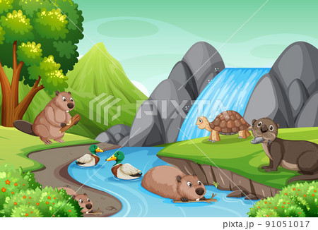 Waterfall in the forest with wild animals Waterfall in the forest with wild animals 91051017