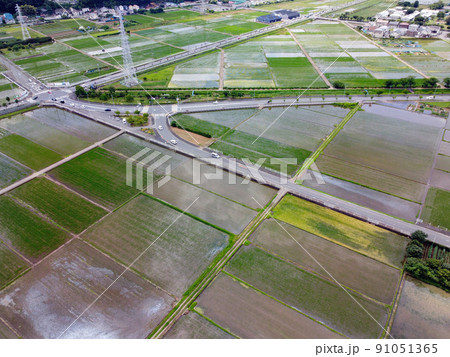 空撮!!海老名の田園風景 空撮!!海老名の田園風景 91051365