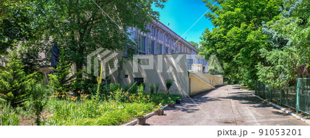 Old park in Chkalov sanatorium in Odessa, Ukraine Old park in Chkalov sanatorium in Odessa, Ukraine 91053201