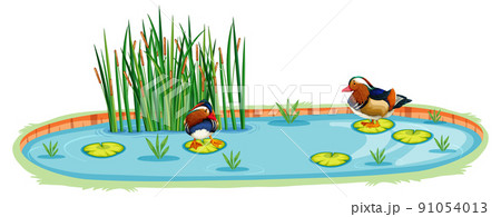 Ducks in a pond in cartoon style 91054013