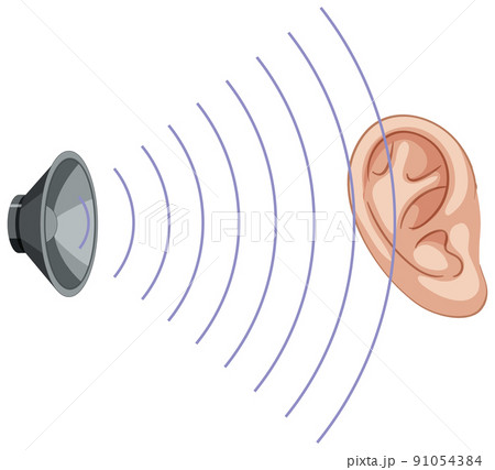 Speaker icon and ear on white background Speaker icon and ear on white background 91054384