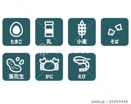 アレルゲン　特定原材料7品目 91054438
