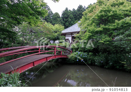 佐々宗淳の墓がある正宗寺の池【茨城県常陸太田市】 91054813