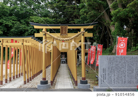 黄金色に彩られた鳥居が並びほしいも神社【ひたちなか市】 黄金色に彩られた鳥居が並びほしいも神社【ひたちなか市】 91054856