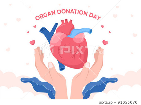 World Organ Donation Day with Kidneys, Heart, Lungs, Eyes or Liver for Transplantation, Saving Lives and Health Care in Flat Cartoon Illustration 91055070