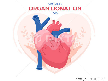 World Organ Donation Day with Kidneys, Heart, Lungs, Eyes or Liver for Transplantation, Saving Lives and Health Care in Flat Cartoon Illustration 91055072