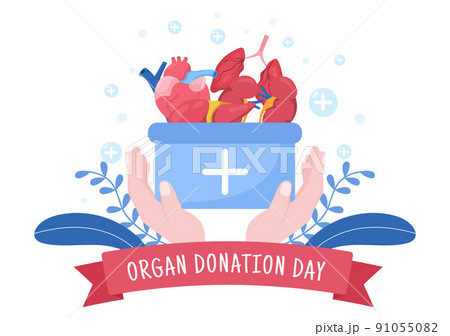 World Organ Donation Day with Kidneys, Heart, Lungs, Eyes or Liver for Transplantation, Saving Lives and Health Care in Flat Cartoon Illustration 91055082