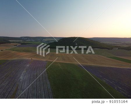 Lavender scented fields in endless rows with blooming flowers aerial view drone purple field against blue sky summer sun sunset. Lavender Oil Production. Field with lavender rows. Aromatherapy. Relax. Lavender scented fields in endless rows with blooming flowers aerial view drone purple field against blue sky summer sun sunset. Lavender Oil Production. Field with lavender rows. Aromatherapy. Relax. 91055164