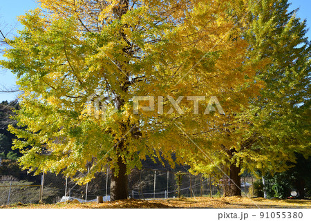 旧黒羽町立須賀川小学校に寄りました #3 旧黒羽町立須賀川小学校に寄りました #3 91055380