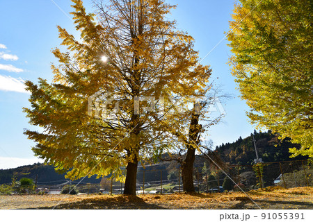 旧黒羽町立須賀川小学校に寄りました　＃6 91055391