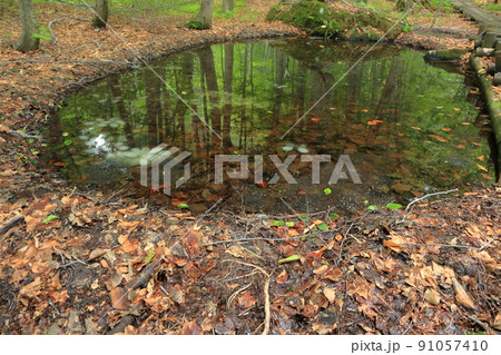 岳岱自然観察教育林 岳岱自然観察教育林 91057410