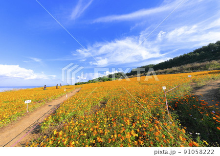 済州島 ビーチ 海水浴場 91058222