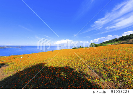 済州島 ビーチ 海水浴場 91058223