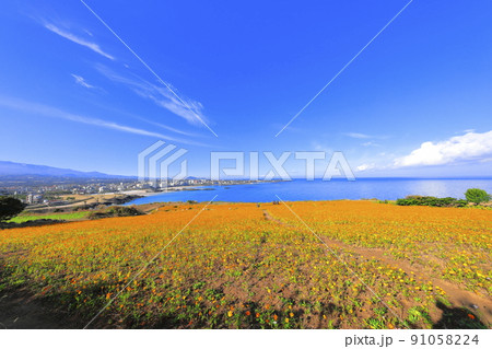 済州島 ビーチ 海水浴場 91058224