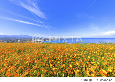 済州島 ビーチ 海水浴場 91058232