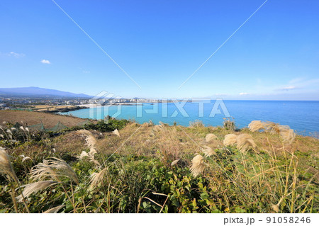 済州島 ビーチ 海水浴場 91058246