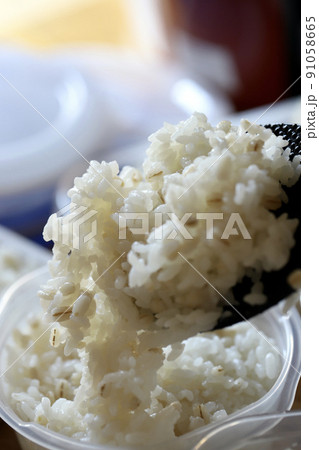 保存容器に小分けにしている炊き立ての押し麦入りご飯 91058665
