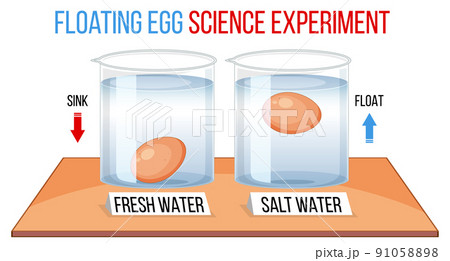Science Experiment with test eggs for freshness 91058898