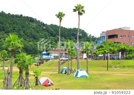 済州島 ビーチ 海水浴場 91059322