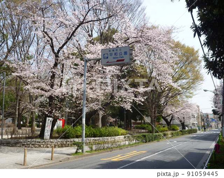 板橋区立平和公園　　（東京都板橋区） 91059445
