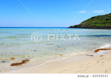 済州島 ビーチ 海水浴場 91059547