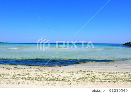 済州島 ビーチ 海水浴場 91059549