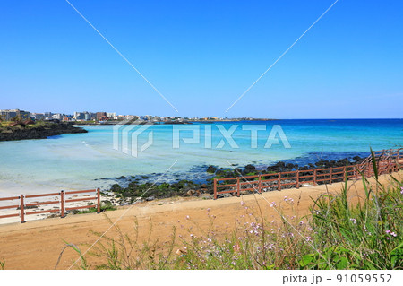 済州島 ビーチ 海水浴場 91059552