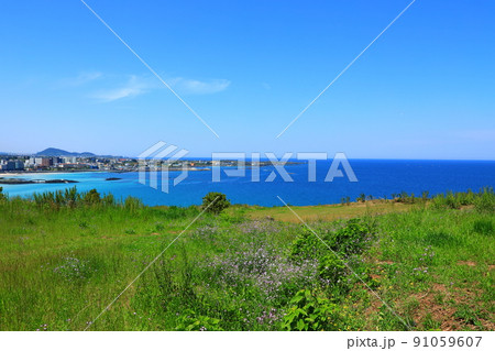 済州島 ビーチ 海水浴場 91059607