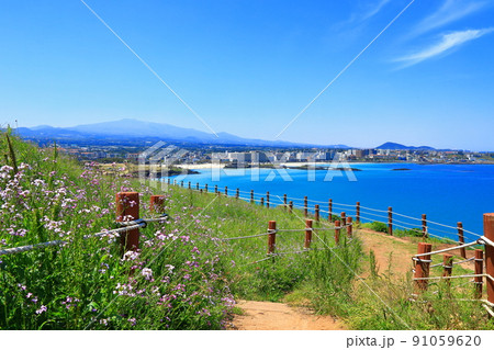 済州島 ビーチ 海水浴場 91059620