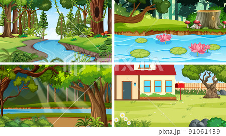 Nature scene with many trees and pond Nature scene with many trees and pond 91061439