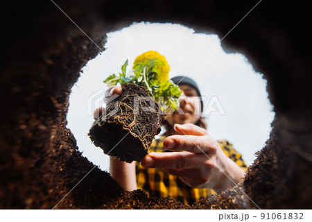 Male gardener holding flowers. View from below. 91061832