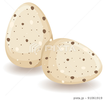 Two round eggs in brown 91061919