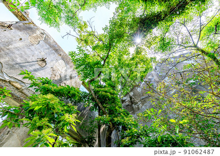 初夏の魚雷発射試験場跡　片島公園　長崎県川棚町 91062487