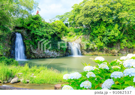 紫陽花と轟の滝 佐賀県嬉野市 紫陽花と轟の滝 佐賀県嬉野市 91062537
