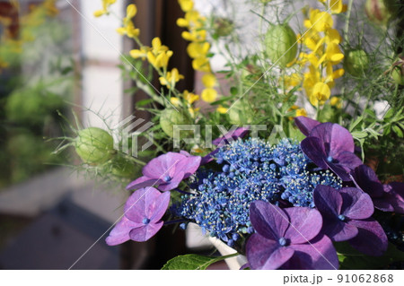 紫陽花を出窓に飾る 91062868