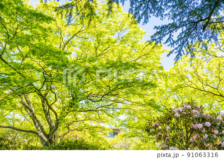 エコロジーのイメージ 91063316