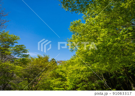 エコロジーのイメージ エコロジーのイメージ 91063317